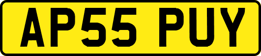 AP55PUY