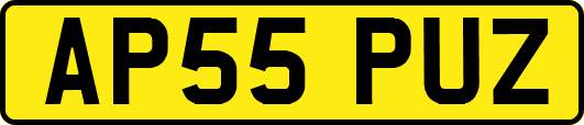 AP55PUZ