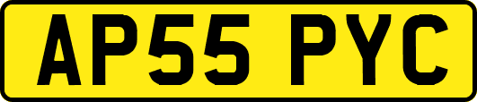 AP55PYC