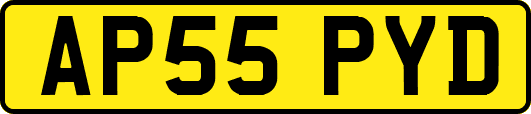AP55PYD
