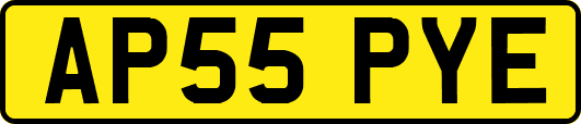 AP55PYE