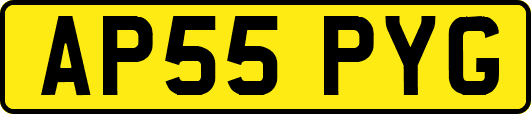 AP55PYG