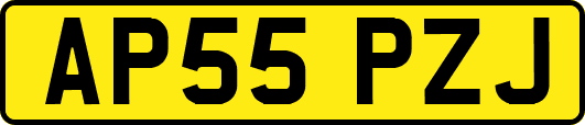 AP55PZJ