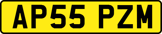 AP55PZM