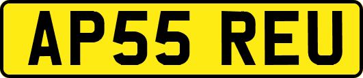 AP55REU