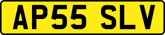 AP55SLV