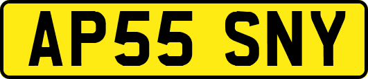AP55SNY