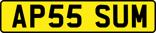 AP55SUM