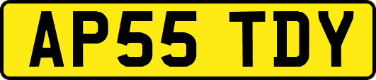 AP55TDY