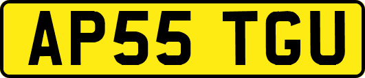 AP55TGU