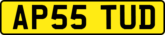 AP55TUD