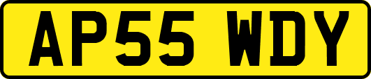 AP55WDY