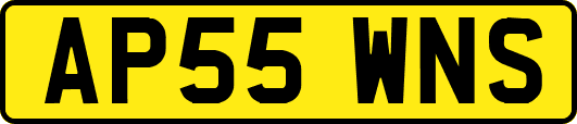 AP55WNS
