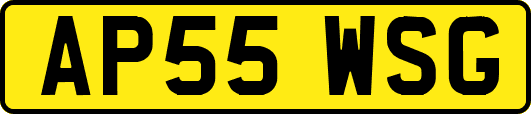 AP55WSG