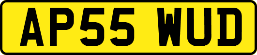 AP55WUD
