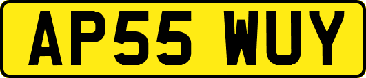 AP55WUY