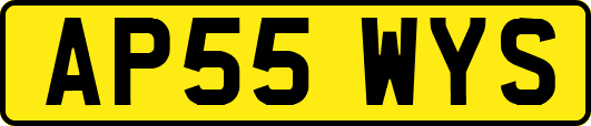 AP55WYS