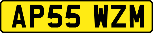 AP55WZM