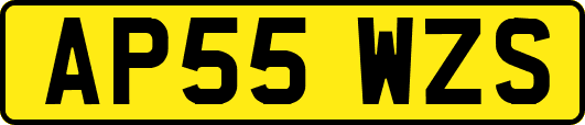 AP55WZS