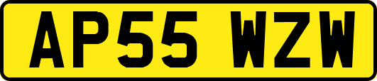 AP55WZW