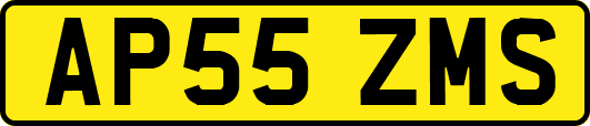 AP55ZMS