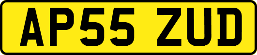 AP55ZUD