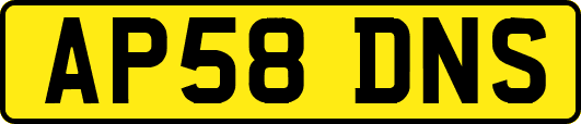 AP58DNS