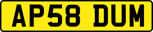 AP58DUM