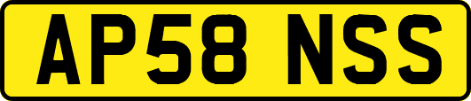 AP58NSS