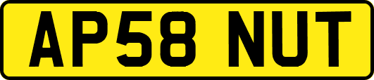 AP58NUT