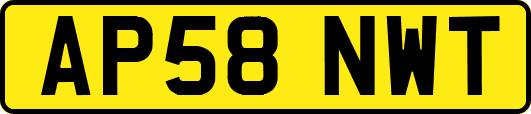 AP58NWT