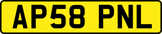 AP58PNL