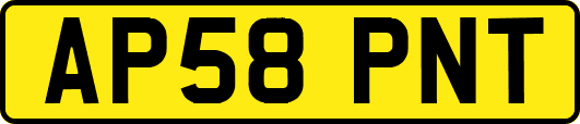 AP58PNT