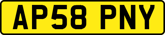 AP58PNY
