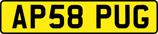 AP58PUG