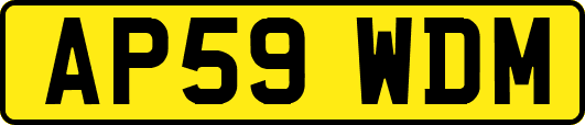 AP59WDM