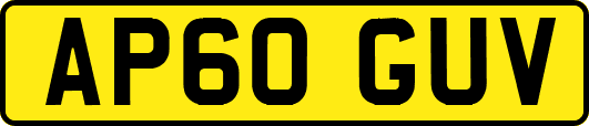 AP60GUV