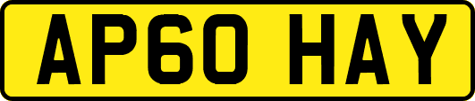 AP60HAY