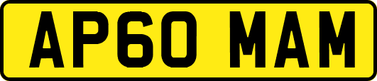 AP60MAM