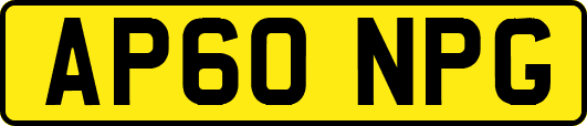 AP60NPG