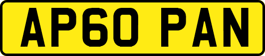 AP60PAN
