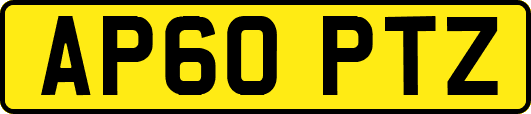 AP60PTZ