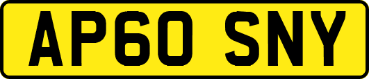 AP60SNY