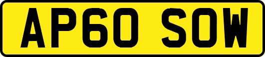 AP60SOW