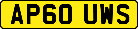 AP60UWS