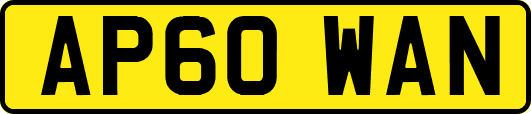 AP60WAN