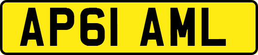 AP61AML
