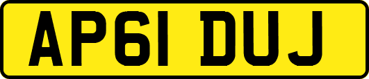 AP61DUJ