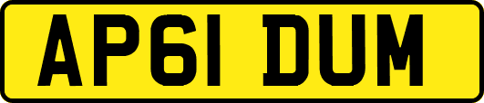 AP61DUM