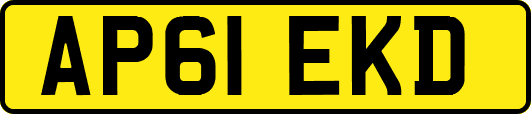 AP61EKD